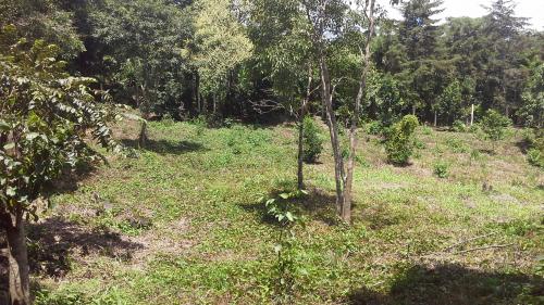 Vendo hermoso terreno en matagalpa 1 manzana - Imagen 2