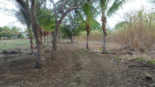 La finca se encuentra en ManaguaTicuantepe  - Imagen 2