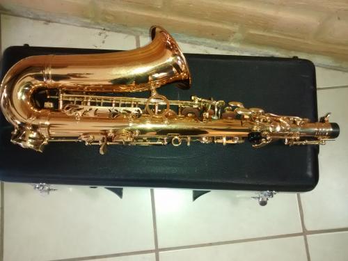 Vendo Saxofon Alto colegial en su caja con t - Imagen 3