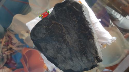 Piedra antigua  encontrada en  río somoto    - Imagen 2