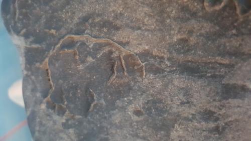Piedra antigua  encontrada en  río somoto    - Imagen 3